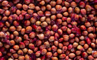 Quel animal laisse des crottes contenant des noyaux de cerise ?